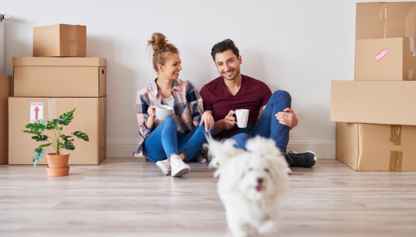 Couple sitting on floor surrounded by moving boxes, small white dog in front of them.