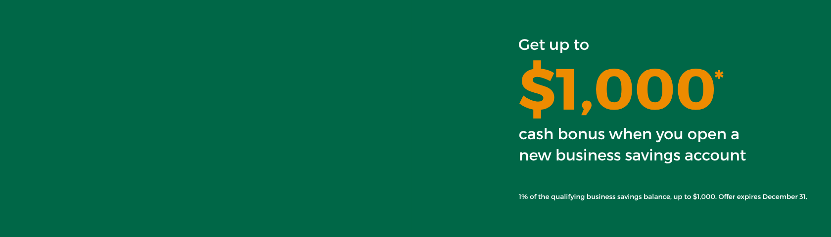 bhisa offer